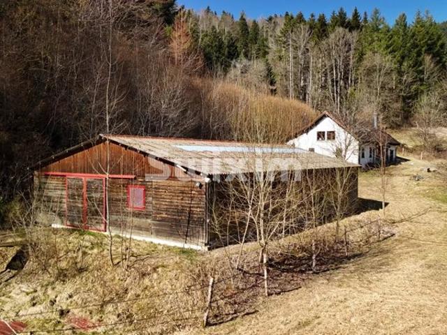Maison vente à Belfort, Vescemont