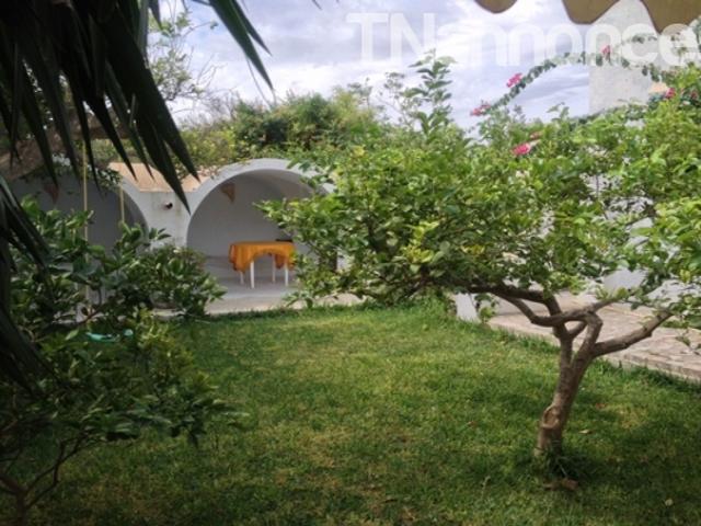 Appartement vente