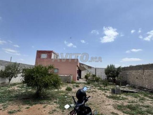 Maison vente à Saf, L'Oriental