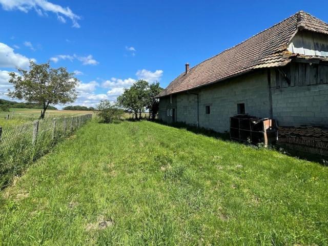 Maison vente à Traubach-le-Haut, Collectivité européenne d'Alsace