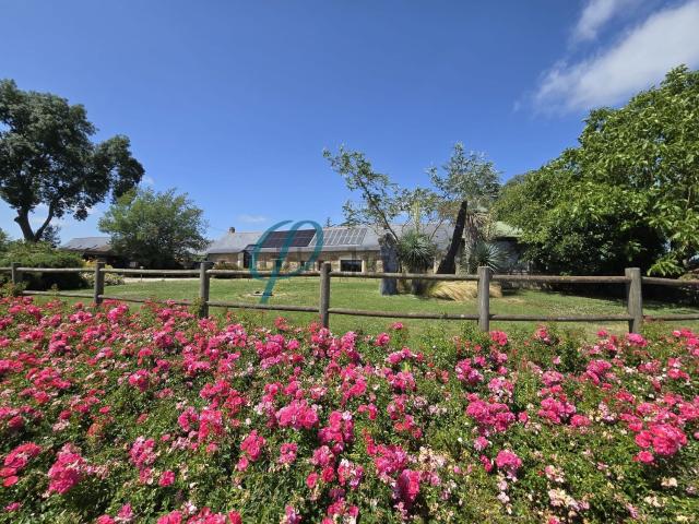Maison vente à Saint-Mars-la-Jaille, Vallons-de-l'Erdre