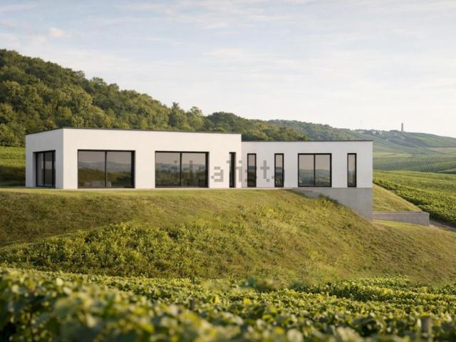 Maison vente à Verzenay, Marne