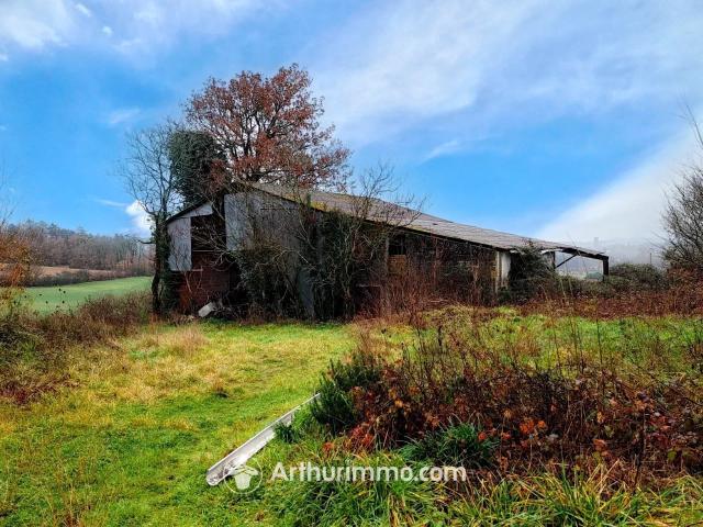 Maison vente à La Garenne, Salvagnac