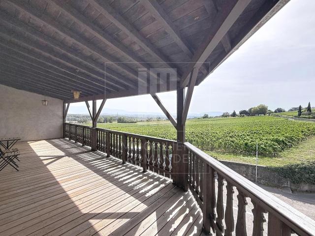 Haus mieten in Satigny