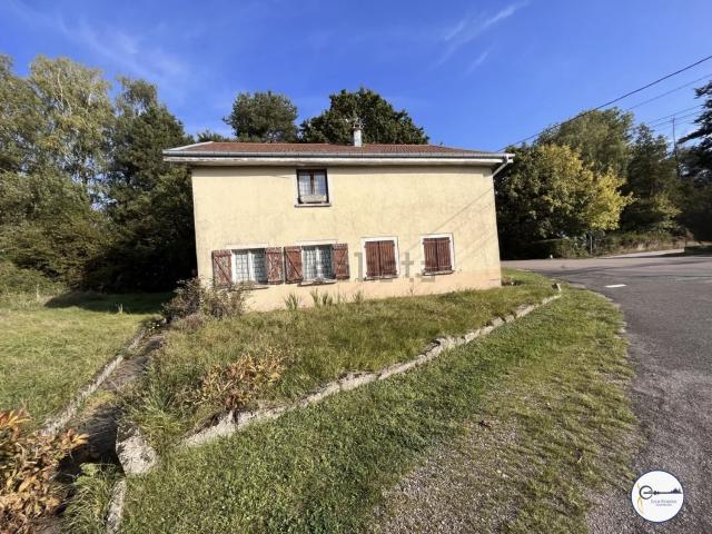 Maison vente à Vioménil, Vosges
