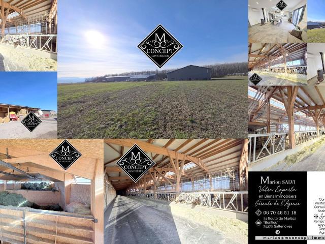 Maison vente à Essertet, Viry