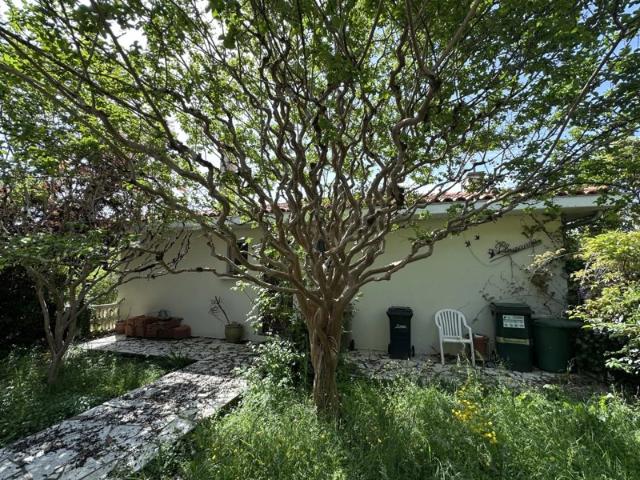 Maison vente à Agen, Bon-encontre