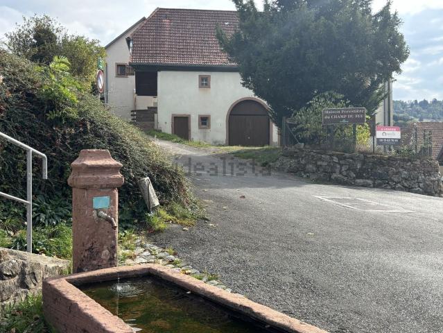 Maison vente à Waldersbach, Collectivité européenne d'Alsace