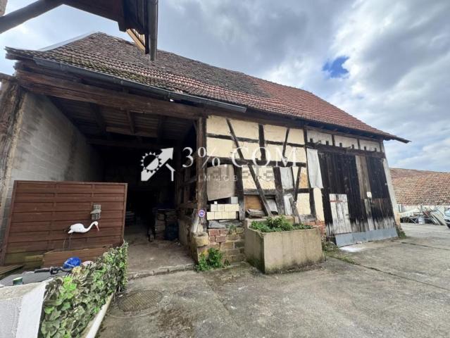 Maison vente à Waltenheim-sur-Zorn, Collectivité européenne d'Alsace