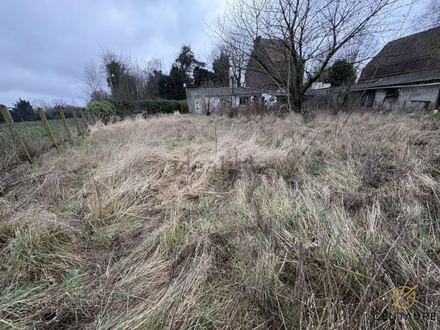 Maison vente à Wasquehal, Nord