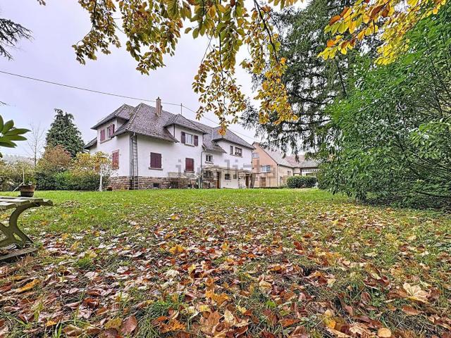 Maison vente à Wingen-sur-Moder, Collectivité européenne d'Alsace