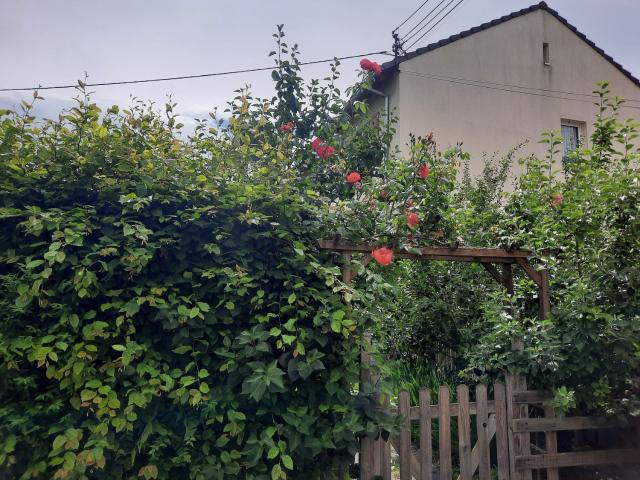 Maison vente à Zillisheim, Collectivité européenne d'Alsace