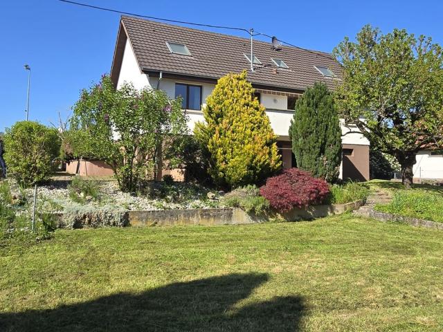 Maison vente à Zimmersheim, Collectivité européenne d'Alsace