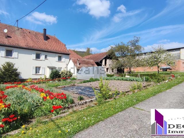 Maison vente à Zinswiller, Collectivité européenne d'Alsace