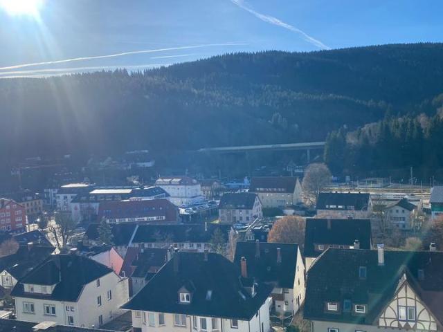 Wohnung kaufen in Titisee-Neustadt, Baden-Württemberg