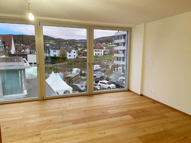 Apartment mieten in Breitenbach, Solothurn