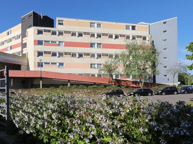 Apartment mieten in Westhagen, Wolfsburg