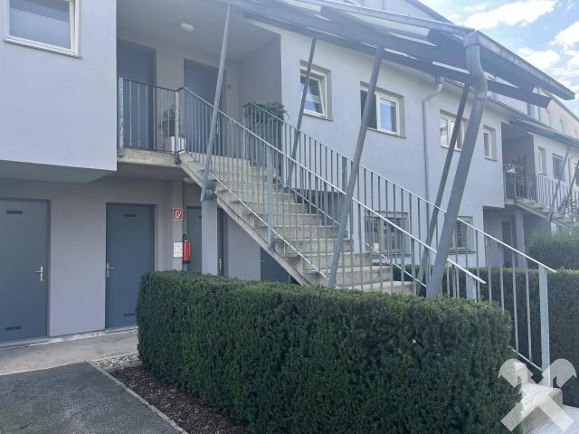 Apartment kaufen in Kaindorf an der Sulm, Leibnitz