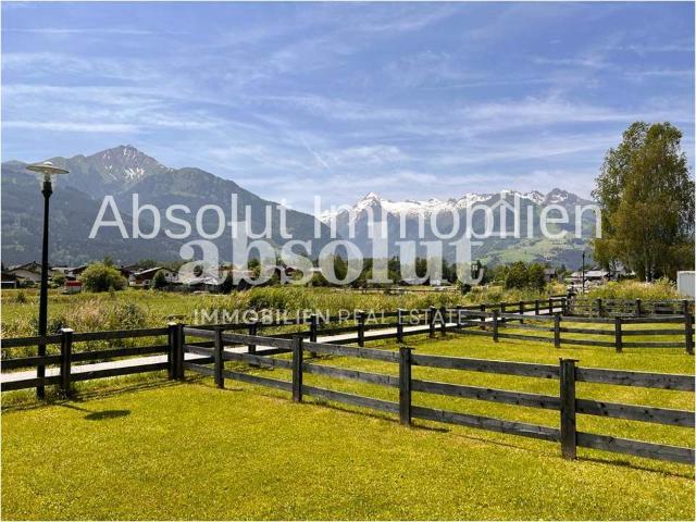 Wohnung kaufen in Zell, Kärnten