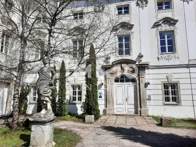 Apartment mieten in Thalheim bei Wels