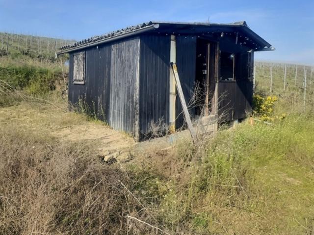 Einfamilienhaus kaufen in Bernex
