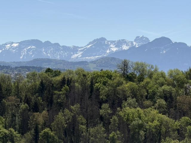 Maison vente à Saint-Julien-en-Genevois, Bonne