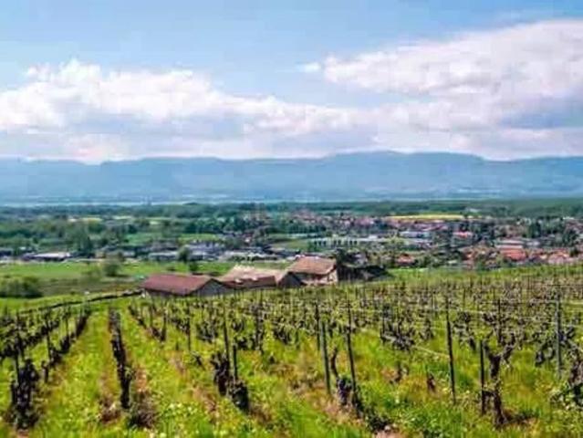 Maison vente à Thonon-les-Bains, Loisin