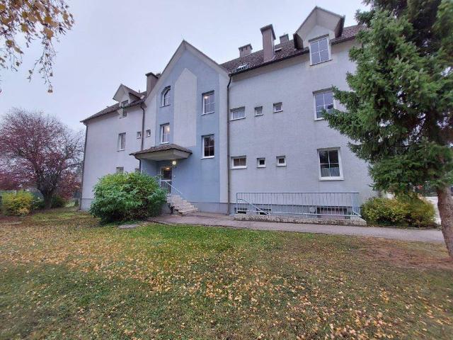 Apartment mieten in Maissau, Niederösterreich