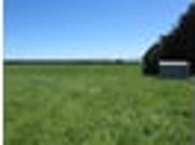 Land for sale in Southland