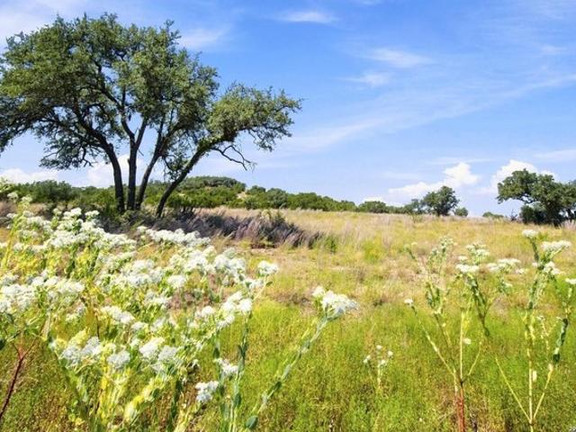 Land for sale in Blanco, Texas
