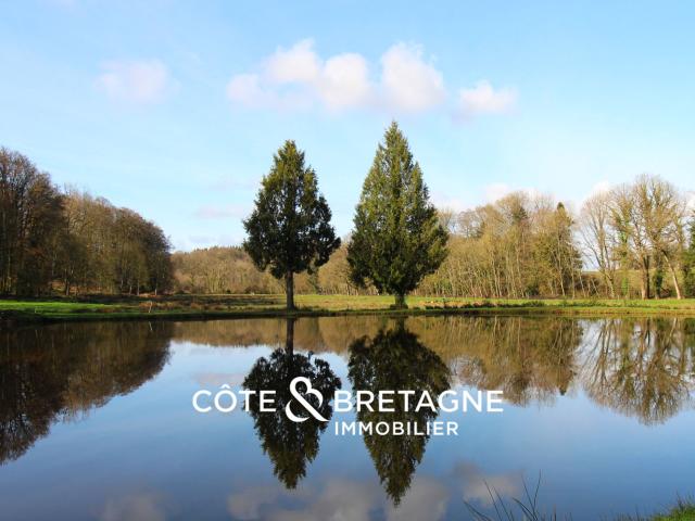 Château vente à Merdrignac