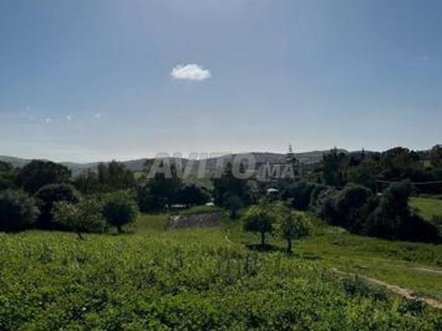Propriété vente à Assilah, Tanger-Tétouan