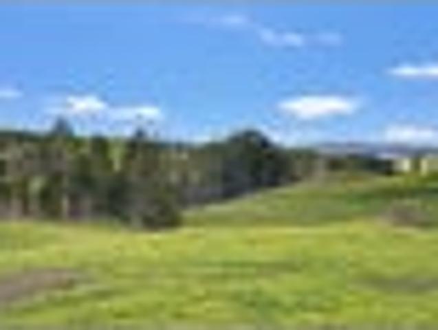Land for sale in Maungaturoto, Northland