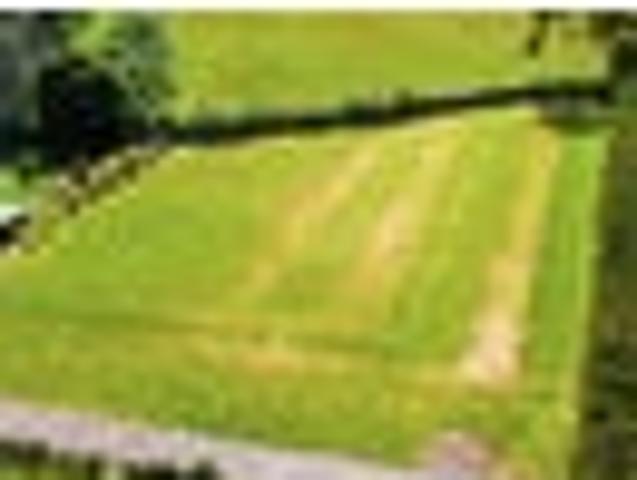 Land for sale in Whangarei, Northland