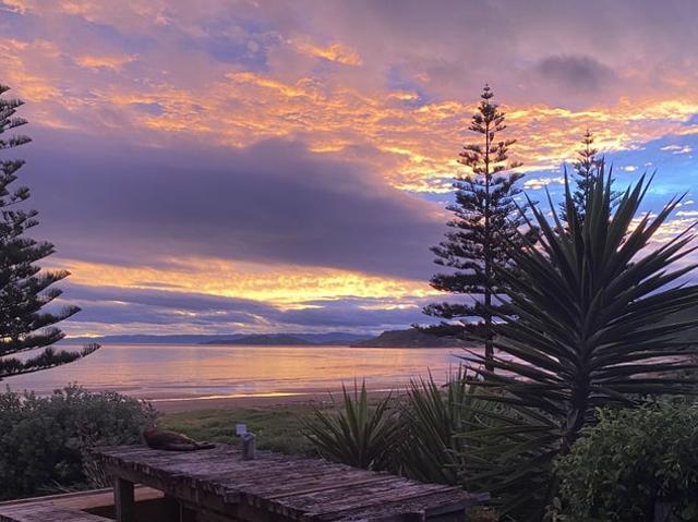 House for rent in Gisborne