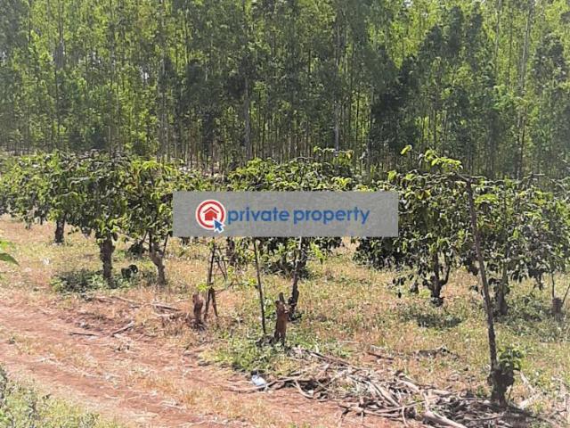 Land for sale in Makuyu, Maragwa