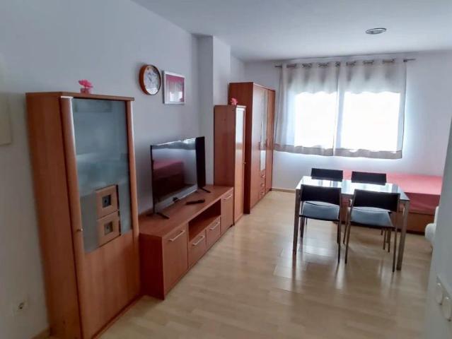 Apartamento en alquiler en Carretera de Cádiz, Málaga-Costa del Sol