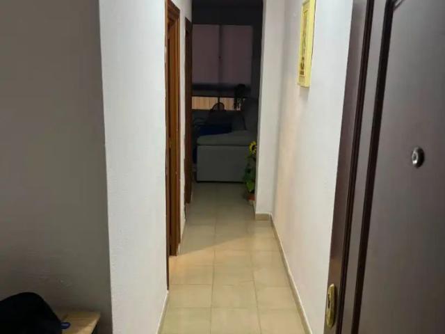 Apartamento en alquiler en Cruz de Humilladero, Málaga-Costa del Sol