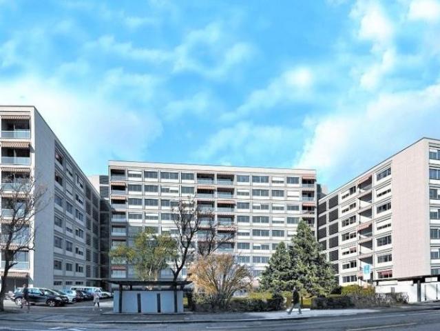 Apartment mieten in Florissant, Genève
