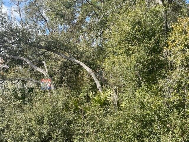 Land for sale in Ocklawaha, Florida