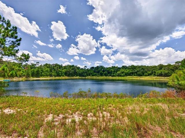 Land for sale in Ocklawaha, Florida