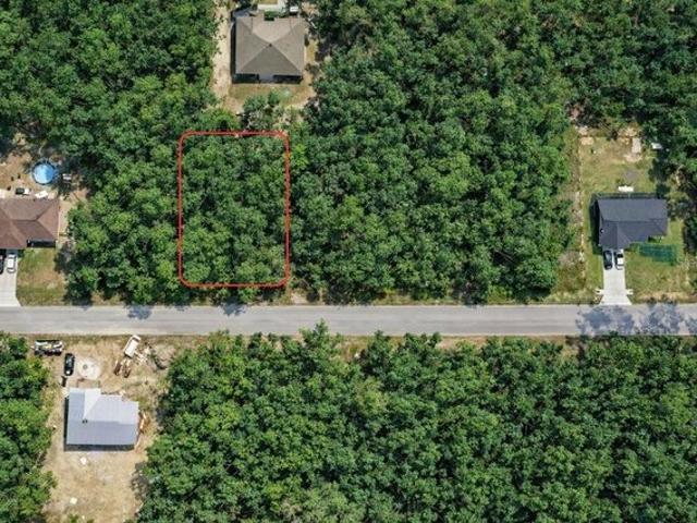 Land for sale in Ocklawaha, Florida