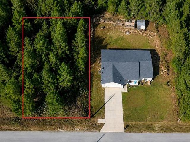 Land for sale in Ocklawaha, Florida
