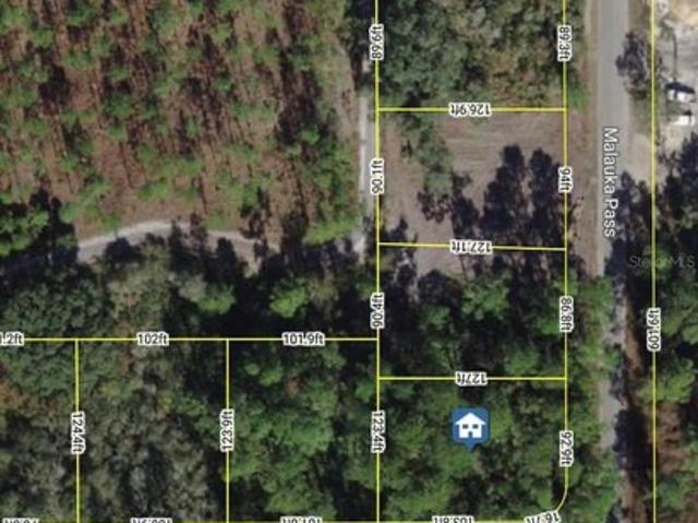 Land for sale in Ocklawaha, Florida