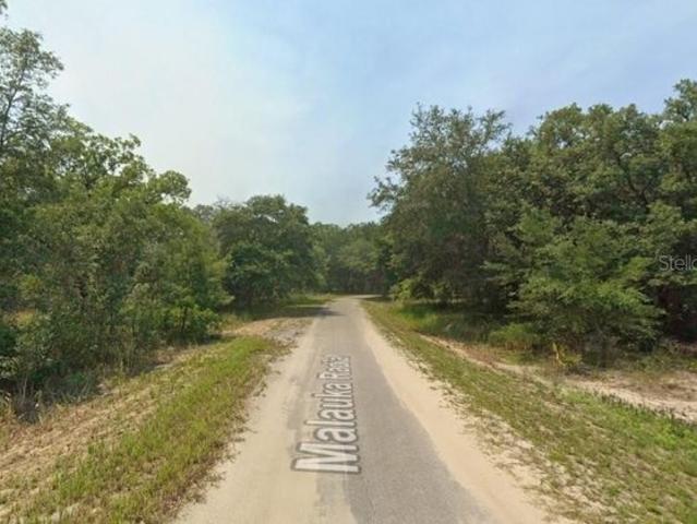 Land for sale in Ocklawaha, Florida