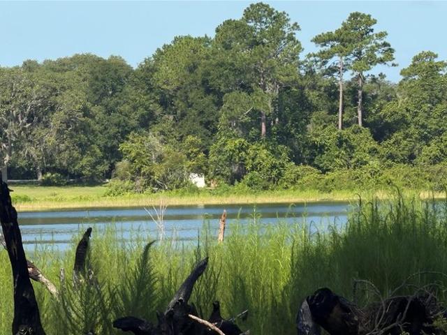 Land for sale in Ocklawaha, Florida