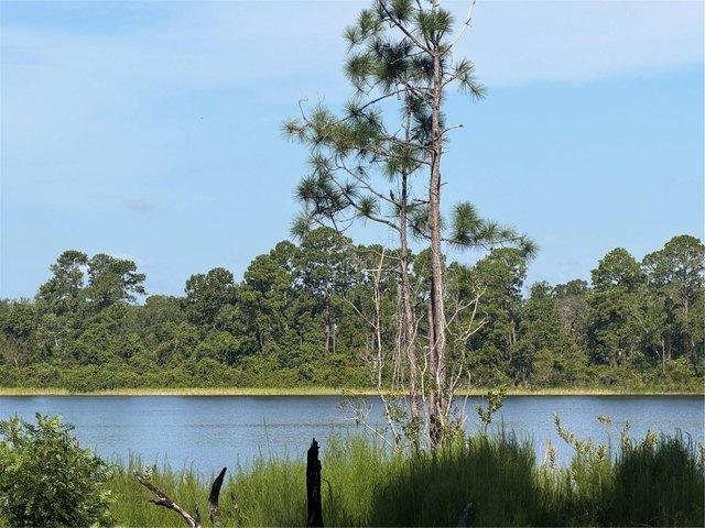 Land for sale in Ocklawaha, Florida
