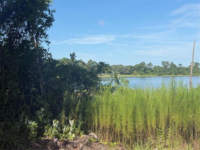 Land for sale in Ocklawaha, Florida