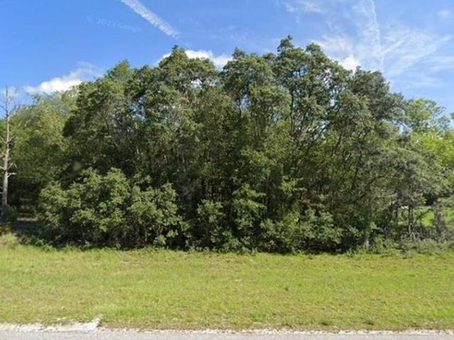 Land for sale in Ocklawaha, Florida