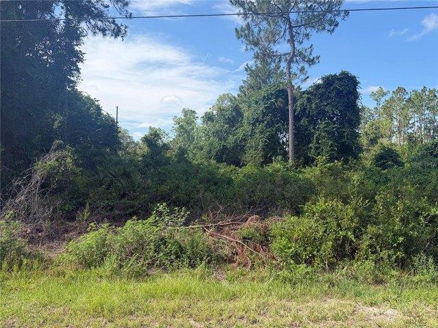 Land for sale in Ocklawaha, Florida